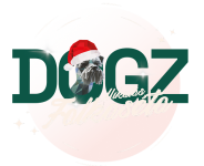 DOGZ Mikulás Falkaséta – 2026