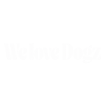 DOGZ Falkaséta 2026 ősz